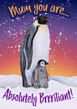 Cute Penguin Mother's Day Card - Mum you are Absolutely Brrrriliant created by Lunique Designs