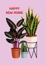 Pretty New Home Card - Botanical House Plants created by Folio | Ian Owen