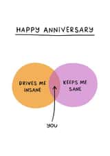 Funny Anniversary Card - Drives Me Insane & Keeps Me Sane - Venn Diagram created by Sydney Jo Designs