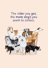Funny Birthday Card - Dog Owner - Lots of Dogs created by The Clay Stray