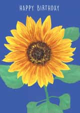 Happy Birthday Sunflower created by NS Illustration