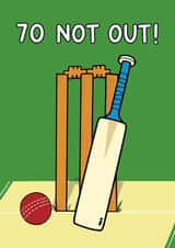Funny Birthday Card - Cricket - 70th created by Of Life & Lemons Ltd.