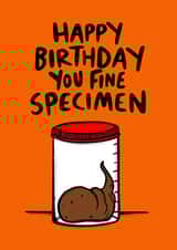 Happy Birthday You Fine Poo Specimen - Poo Card created by Dixon Does Doodles