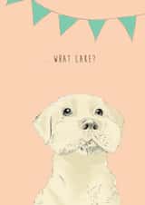Funny Labrador Dog Birthday Card for friend - What Cake? created by Kate Daniels Design