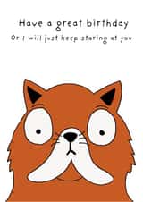 Cute Birthday Card - Cat - Keep Staring At You created by Not at all Jack