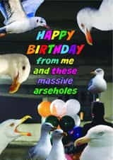 Funny Birthday Card - From These Massive Arseholes - Seagulls created by OBJECTABLES