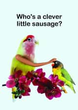 Funny Exams or Graduation Card - Who's a Clever Little Sausage? - Bird With Arms created by OBJECTABLES