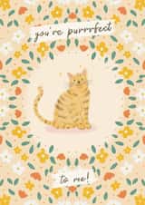 Cute Anniversary Card - Cat Illustration - You’re Purrrfect to me! created by Lisa Parker
