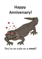 Cute as a Newt created by Square-faced Designs