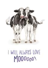 Funny Anniversary Card - I Will Always Love You Mooooooo! created by Citrus Bunn
