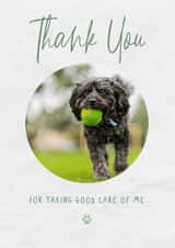 Personalised Thank You Photo Card created by @hollielonglanddesigns - Cute Thank You Photo Card - From Pets - Pet Sitting Or Vet