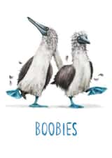 Boobies! - Fun Bird Pun Card created by Citrus Bunn