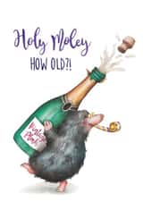 Fun Birthday Card - Holy Moly How Old?! created by Citrus Bunn