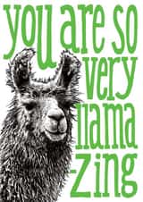 Cute Greetings Card - Llama - You are so very llama-zing created by The Visual Narrator