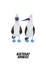 Funny Birthday Card - Boobies - Silly Joke created by The Marmalade Cat