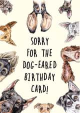 Cute and Funny Birthday Card - Dog Eared - From the Dog created by Bewilderbeest