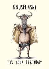 Funny Birthday Card - Naughty Gnu Flashing - Pun created by Bewilderbeest