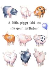 Cute Birthday Card - Little Piggy created by Kate Garrett