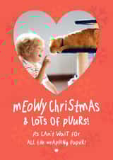 Personalised Christmas Photo Card created by @hollielonglanddesigns - Cute Christmas Photo Card - From The Cat - Can't Wait For The Wrapping Paper