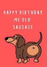 Funny Birthday Card for Friend - Happy Birthday Me Old sausage created by Houston's Prints 