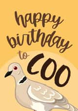 Funny Birthday Card - Pigeon Pun - British Bird created by Bev O'Connor || @oconnordesign
