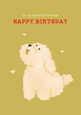 Cute Birthday Card - From The Dog - To My Favourite Hooman created by Zove Ahh