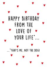 Funny birthday card - partner, love of life, from the dog created by Kind of Simple Designs