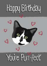 Cute birthday card for the cat lover in your life! created by Designs by Orrinea