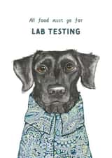 Cute Labrador Birthday Card - Dog - Arty created by Rosie Made A Thing