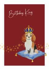 Birthday King - Cavalier King Charles Spaniel card created by Heather Trefusis Art