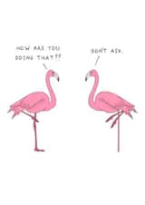 Funny Birthday Card - Flamingos - Cheeky created by AJS STUDIOS
