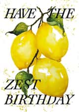 Arty Birthday Card - Have The Zest Birthday - Lemons created by studio frewb