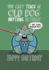 Funny Birthday Card - For Him - You Can't Teach An Old Dog Anything Actually created by Tommy Blue Illustration