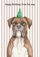 Cute Birthday Card - From The Dog - Boxer created by lil wabbit