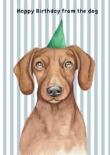 Cute Birthday Card - From The Dog - Dachshund created by lil wabbit