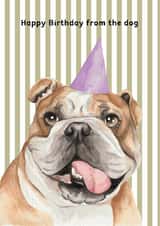 Cute Birthday Card - From The Dog - English Bulldog created by lil wabbit