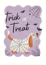 Cute Halloween Card - Trick Or Treat - Dog created by Lisa Parker
