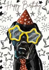 Cute Birthday Card - Dog - Star Sunglasses created by Dotts Yard