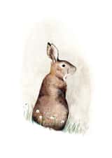 Arty Just Because Card - Rabbit - Watercolour created by Hannah Pascoe
