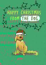 Funny Christmas Card - From The Dog - Derpy Golden Retriever created by Sarah Harding