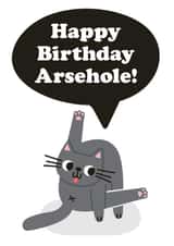 Cheeky Birthday Card - Arsehole - Cheeky Cat Card created by Studio Boketto