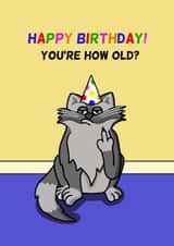 Funny Birthday Card - Cat - You're How Old? created by Cheeky Boar