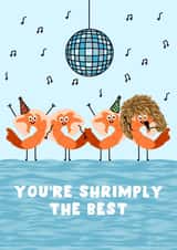 Funny Birthday Card - You're Shrimply The Best - Tina Turner created by Pink Peach Cards