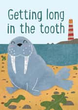 Cute Birthday Card - Walrus - Long In The Tooth - Old created by Paddy Lerwill