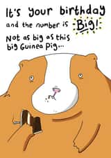 Funny Birthday Card - Guinea Pig - Big Birthday created by Blueberry Magpie Cards