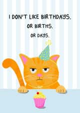 Funny Birthday Card - Cat - Cupcake created by ellavation studio