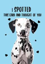 Cute Anniversary Card - Dalmatian - I Spotted This Card created by BB Designs