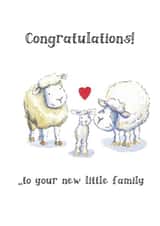 Cute New Baby Card - Sheep Family created by Kate Garrett