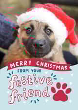 Personalised Christmas Photo Card created by Josie Gledhill - Cute Christmas Card - From The Dog - Festive Friend