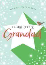 Classic Christmas Card - For A Lovely Grandad - Robin created by Michelle Fiedler Design